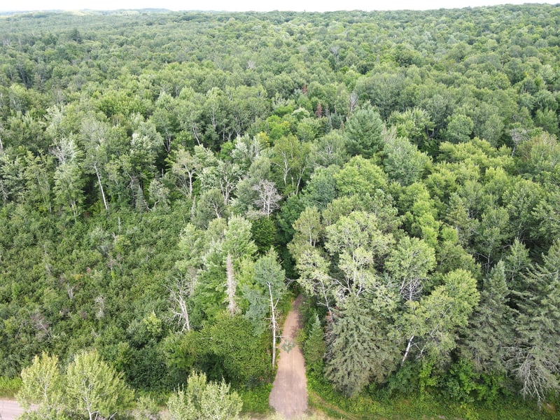 LOT 3 Smith Rd, Couderay, WI 54828