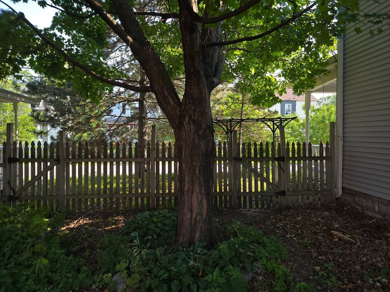 806 E 36th St, Minneapolis, MN 55407