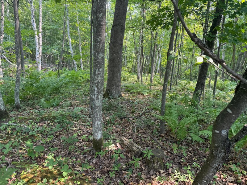 TBD Woodstock Rd, Sturgeon Lake, MN 55783