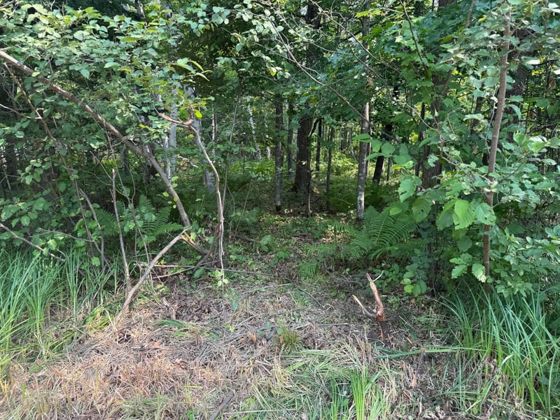 TBD Woodstock Rd, Sturgeon Lake, MN 55783