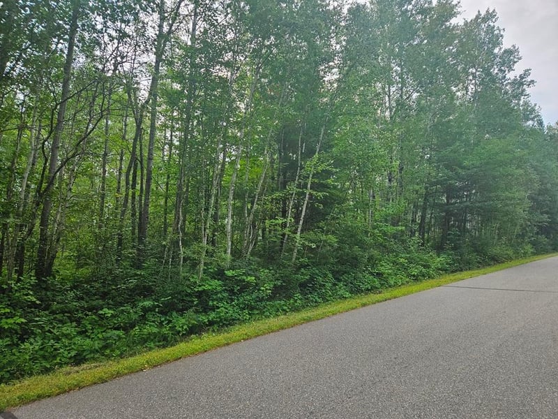 Lot 3 Blk 2 SW 1st Ave, Grand Rapids, MN 55744