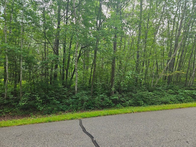 Lot 3 Blk 2 SW 1st Ave, Grand Rapids, MN 55744