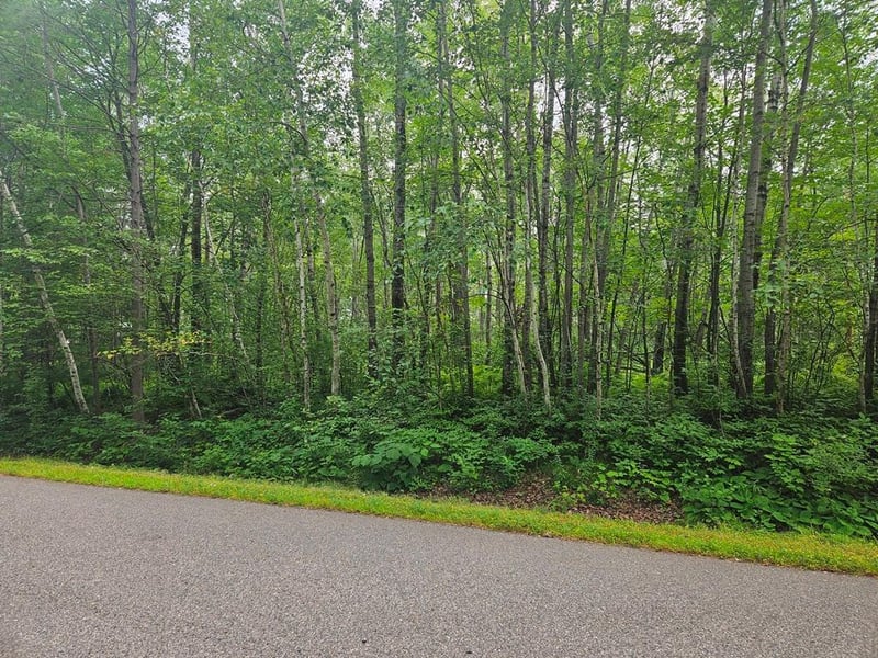 Lot 3 Blk 2 SW 1st Ave, Grand Rapids, MN 55744