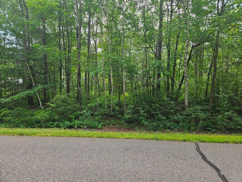 Lot 4 Blk 2 SW 1st Ave, Grand Rapids, MN 55744
