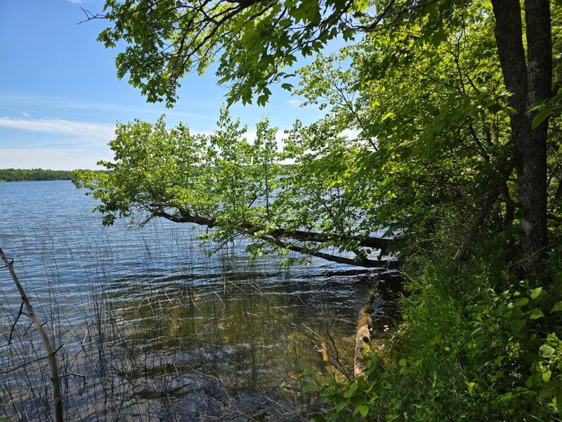 TBD N Moose Lake Rd NE, Pennington, MN 56663
