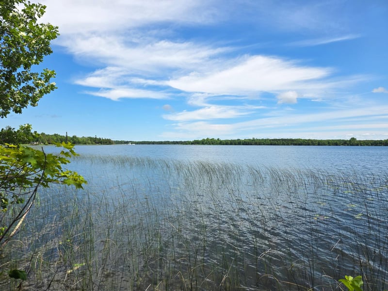 TBD N Moose Lake Rd NE, Pennington, MN 56663