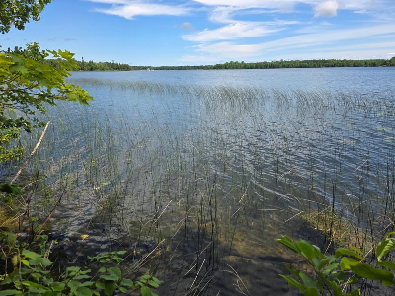 TBD N Moose Lake Rd NE, Pennington, MN 56663