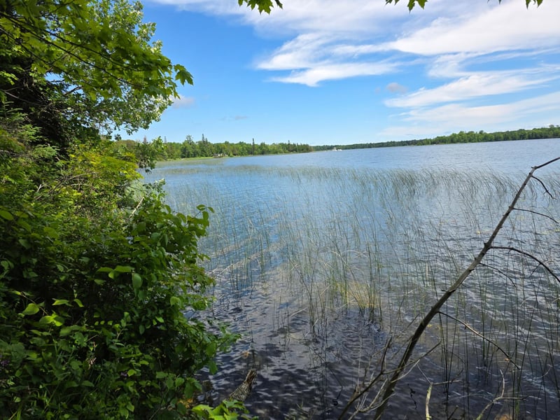 TBD N Moose Lake Rd NE, Pennington, MN 56663