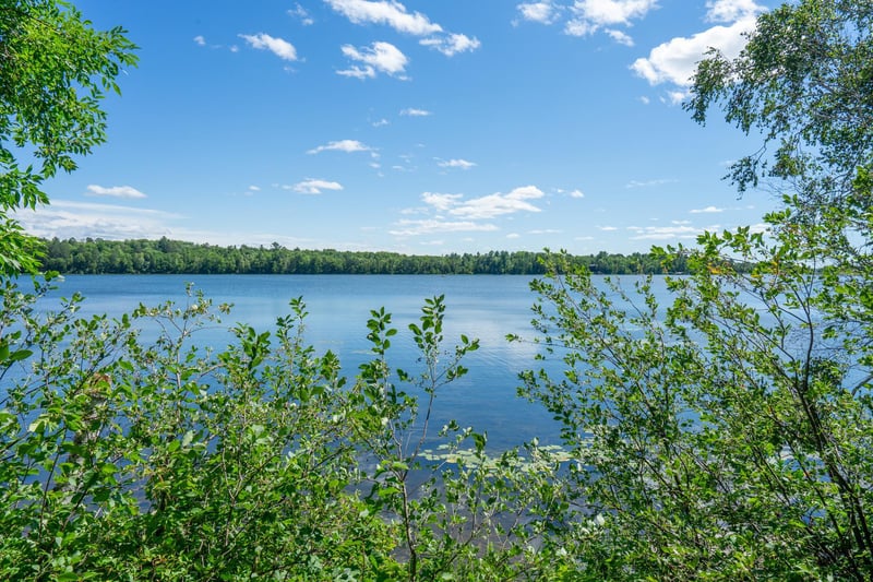 8815 Arrowhead Ct, Pine River, MN 56474