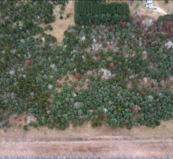 Lot 2 Kable Ave, North Branch, MN 55056
