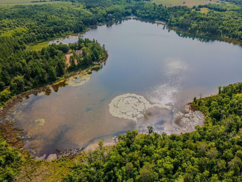 17907 County 81, Park Rapids, MN 56470