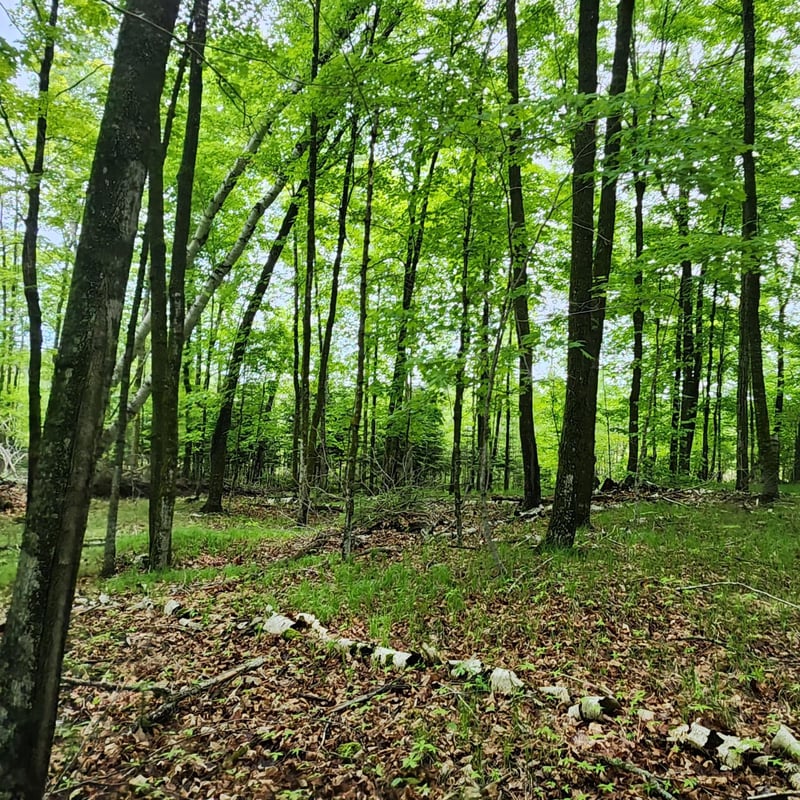 3157 4th Ave NW, Longville, MN 56655
