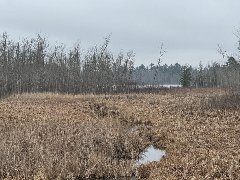 TBD County 11, Longville, MN 56655