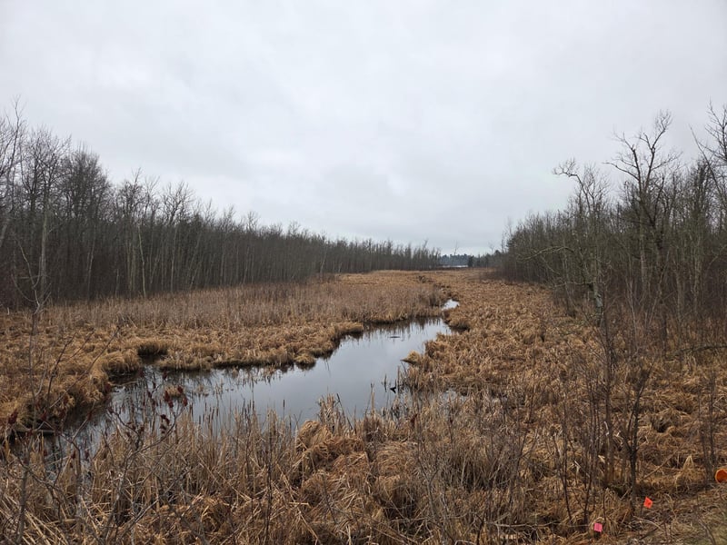 TBD County 11, Longville, MN 56655
