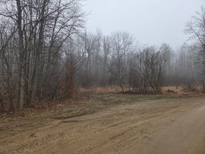 TBD County 11, Longville, MN 56655