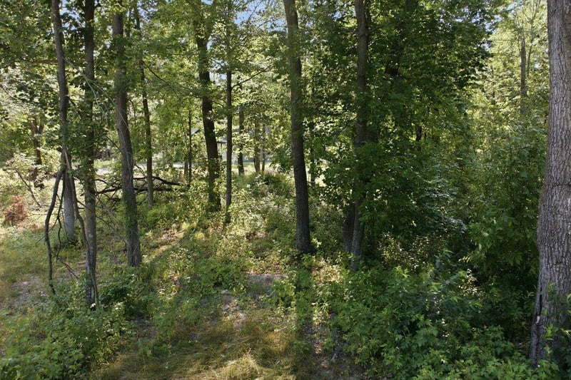 TBD Maplewood Ridge Rd, East Gull Lake, MN 56401