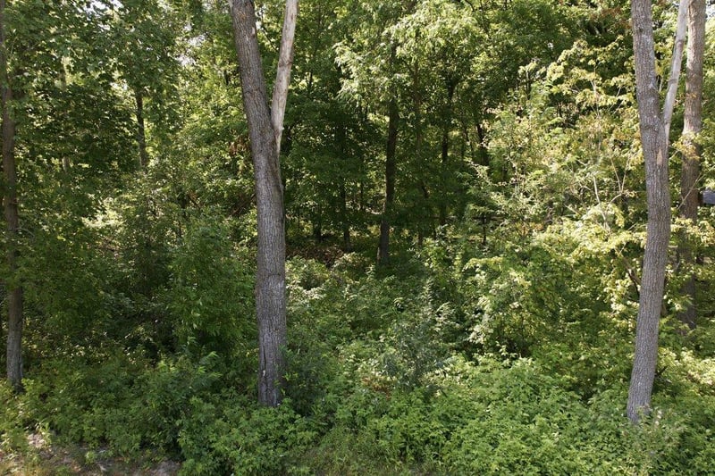 TBD Maplewood Ridge Rd, East Gull Lake, MN 56401