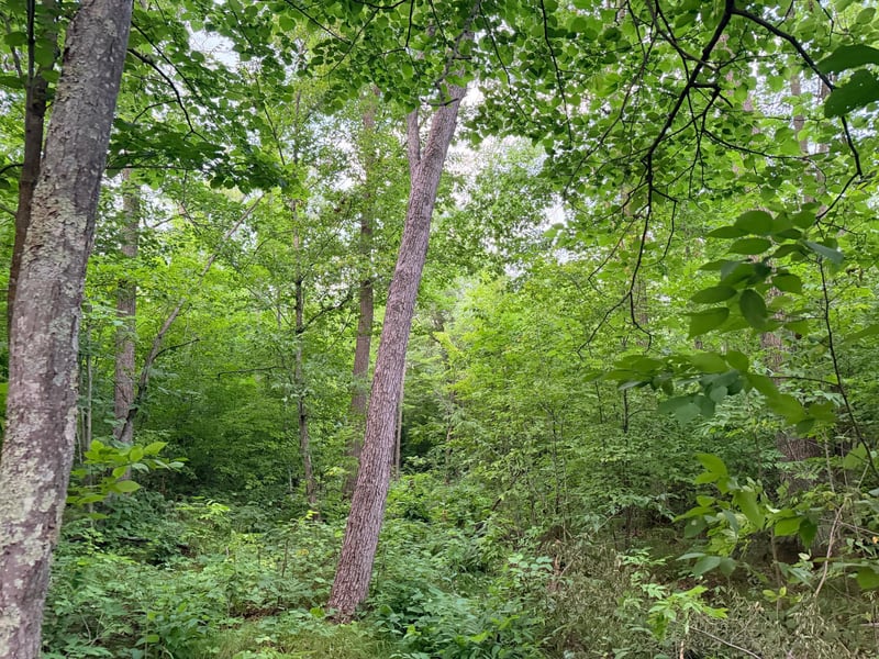 TBD Old Ferry Rd, Hinckley, MN 55037