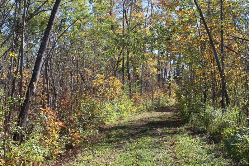 TBD Woods Rd, Isle, MN 56342