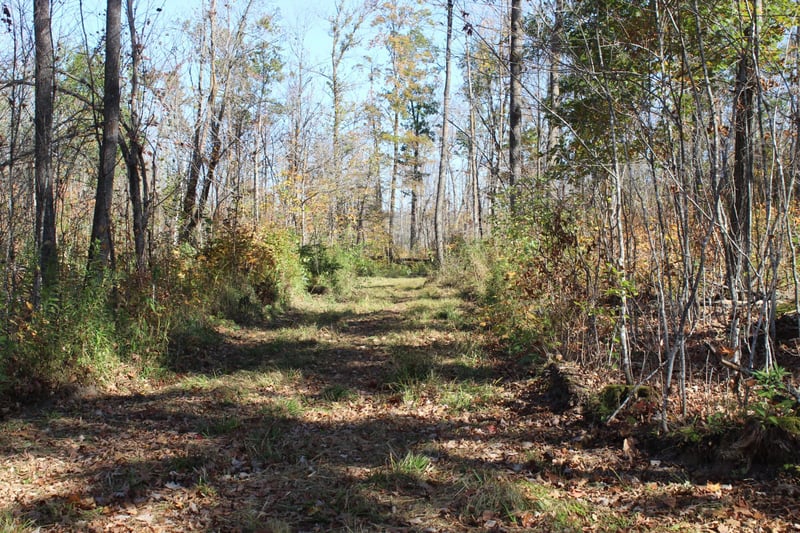 TBD Woods Rd, Isle, MN 56342