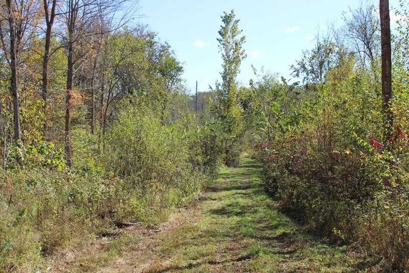 TBD Woods Rd, Isle, MN 56342