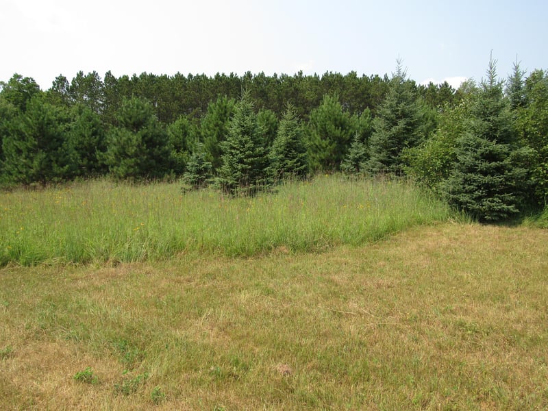 4080 16th Ave SW, Pine River, MN 56474