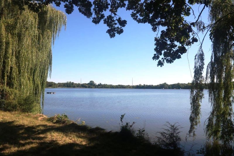 15780 Griffith Ave NW, Clearwater, MN 55320