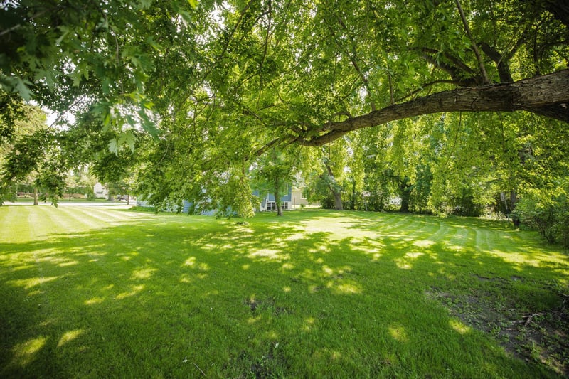 1000 W 4th St, Morris, MN 56267