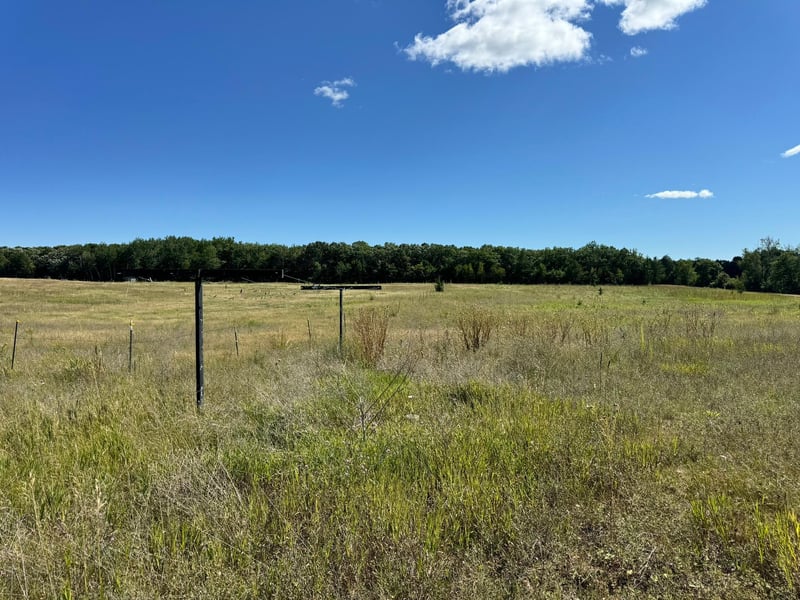 22315 Daisy Rd, Nevis, MN 56467