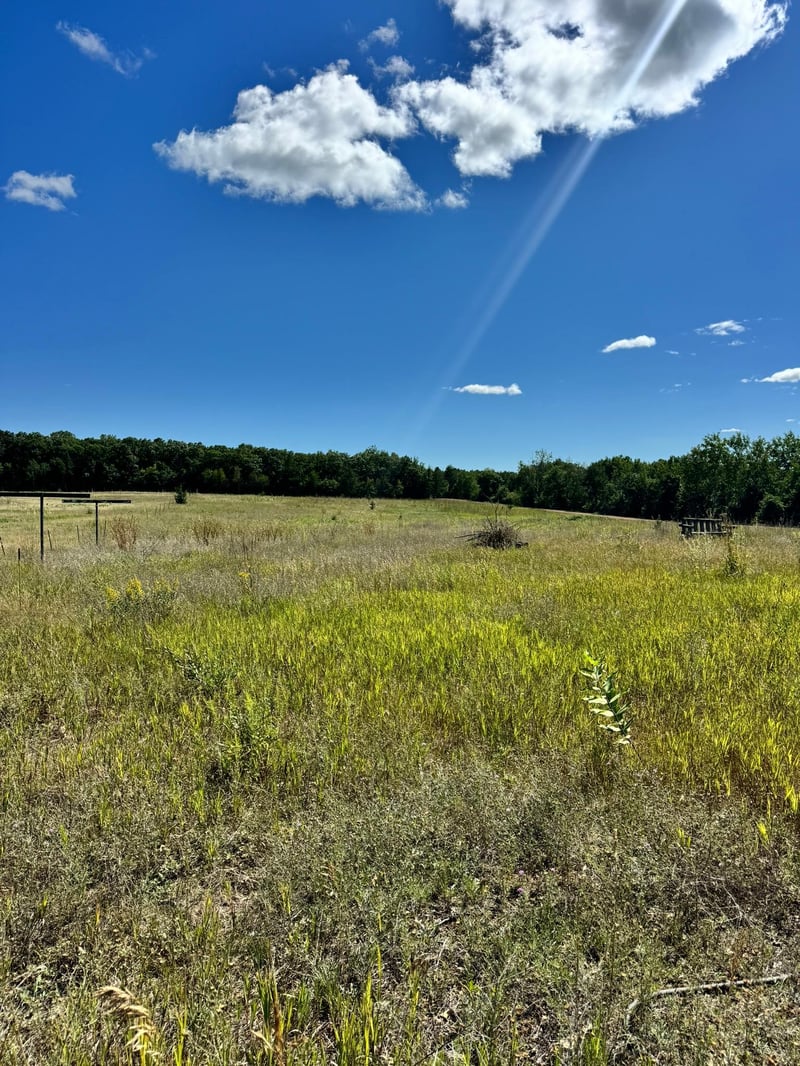 22315 Daisy Rd, Nevis, MN 56467