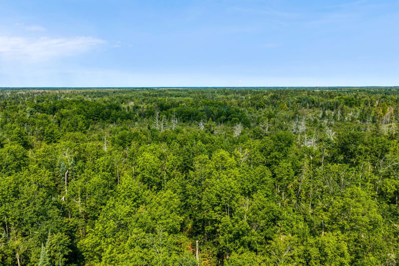 TBD Irvine Ave, Bemidji, MN 56601