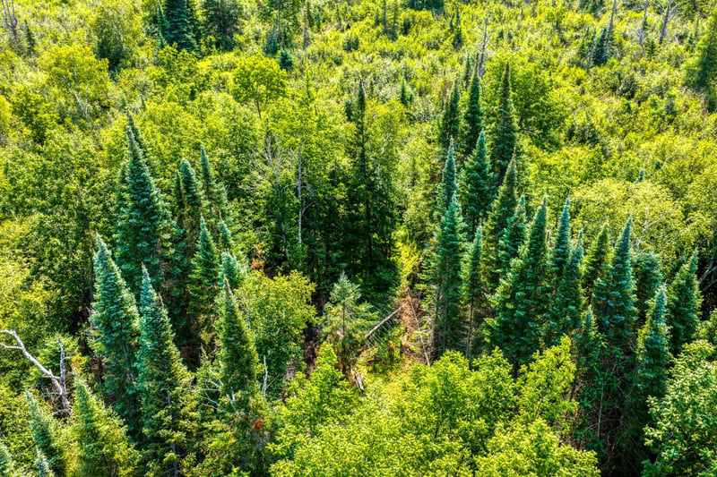 TBD Irvine Ave, Bemidji, MN 56601