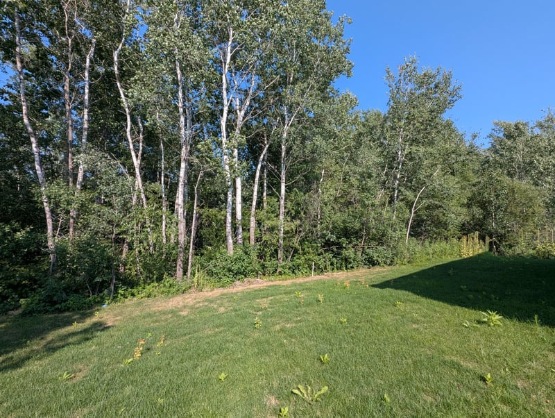 12994 10th Ave N, Zimmerman, MN 55398