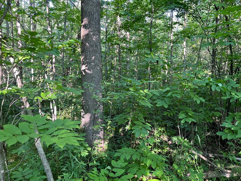 000 Beroun Crossing Rd, Brook Park, MN 55007