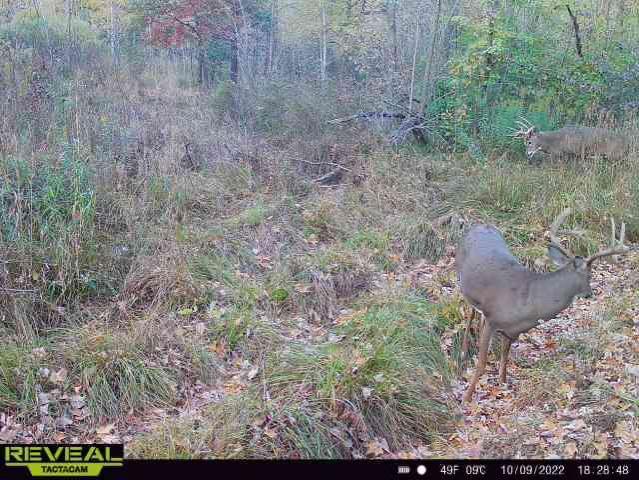 000 Beroun Crossing Rd, Brook Park, MN 55007