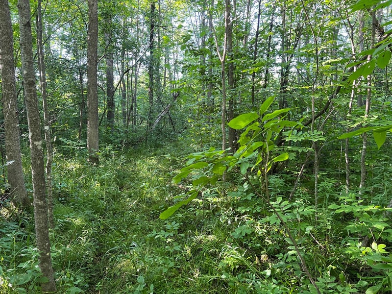 000 Beroun Crossing Rd, Brook Park, MN 55007