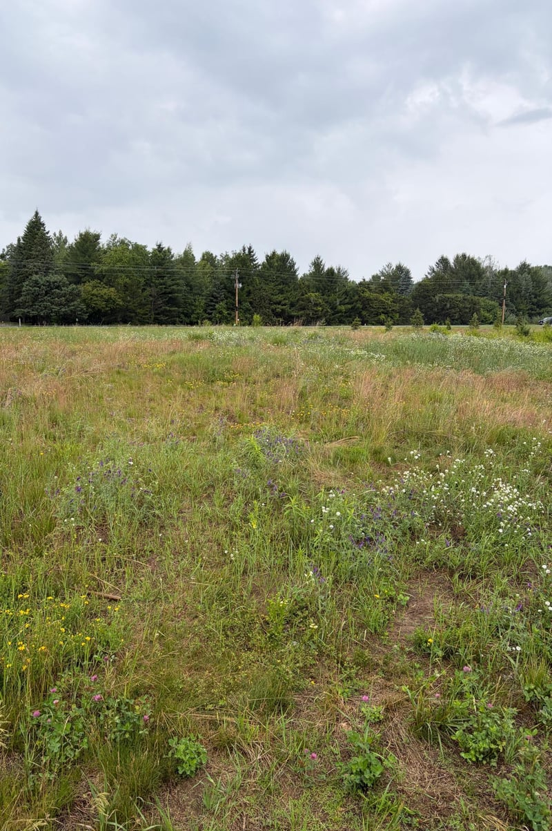 825 174th Ave NE, Ham Lake, MN 55304