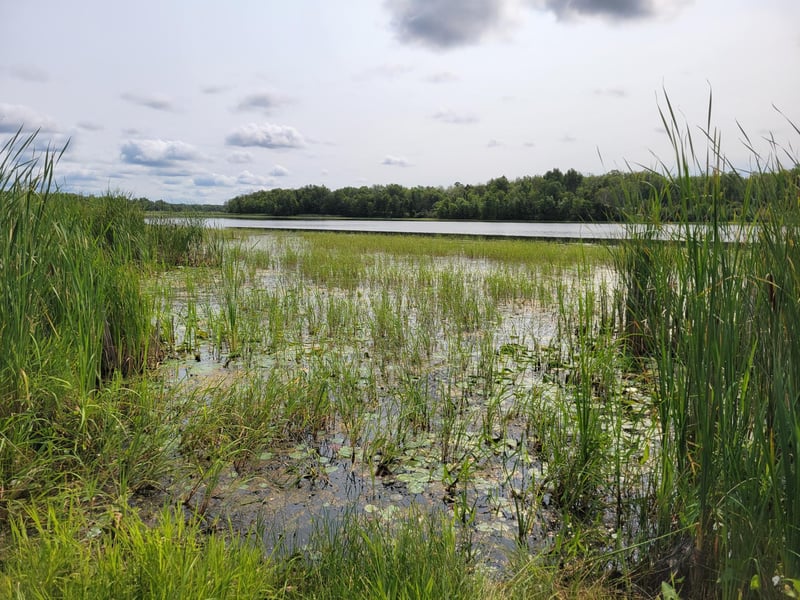 TBD Woodbury Dr, Wright, MN 55798
