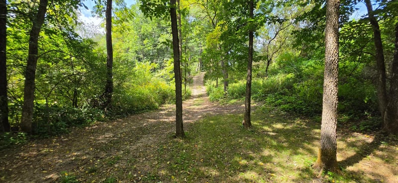 TBD Cty Hwy 27, Rushford, MN 55971