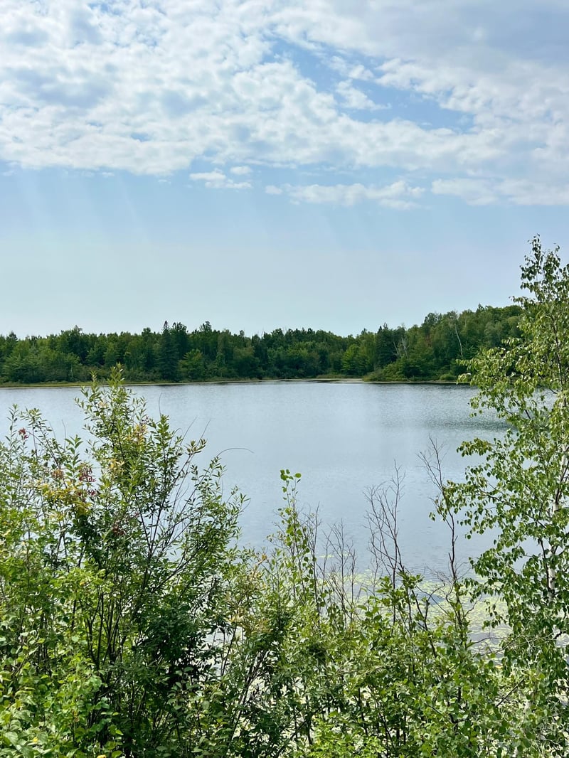 44616 Mcgrady Trl, Nashwauk, MN 55769
