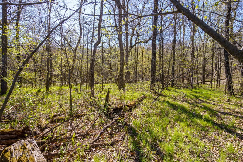 Block A Xxx, Oak Grove, MN 55070