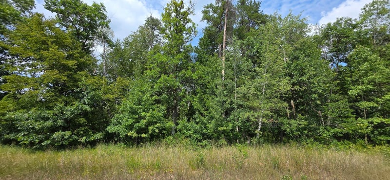 TBD Peony Ln, Breezy Point, MN 56472