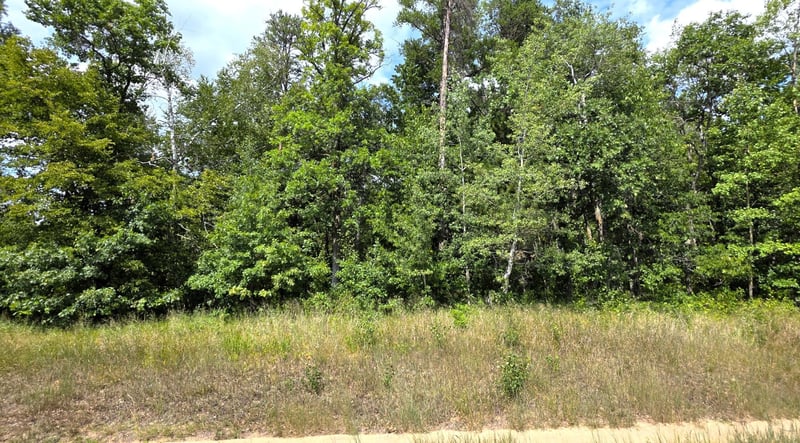 TBD Peony Ln, Breezy Point, MN 56472