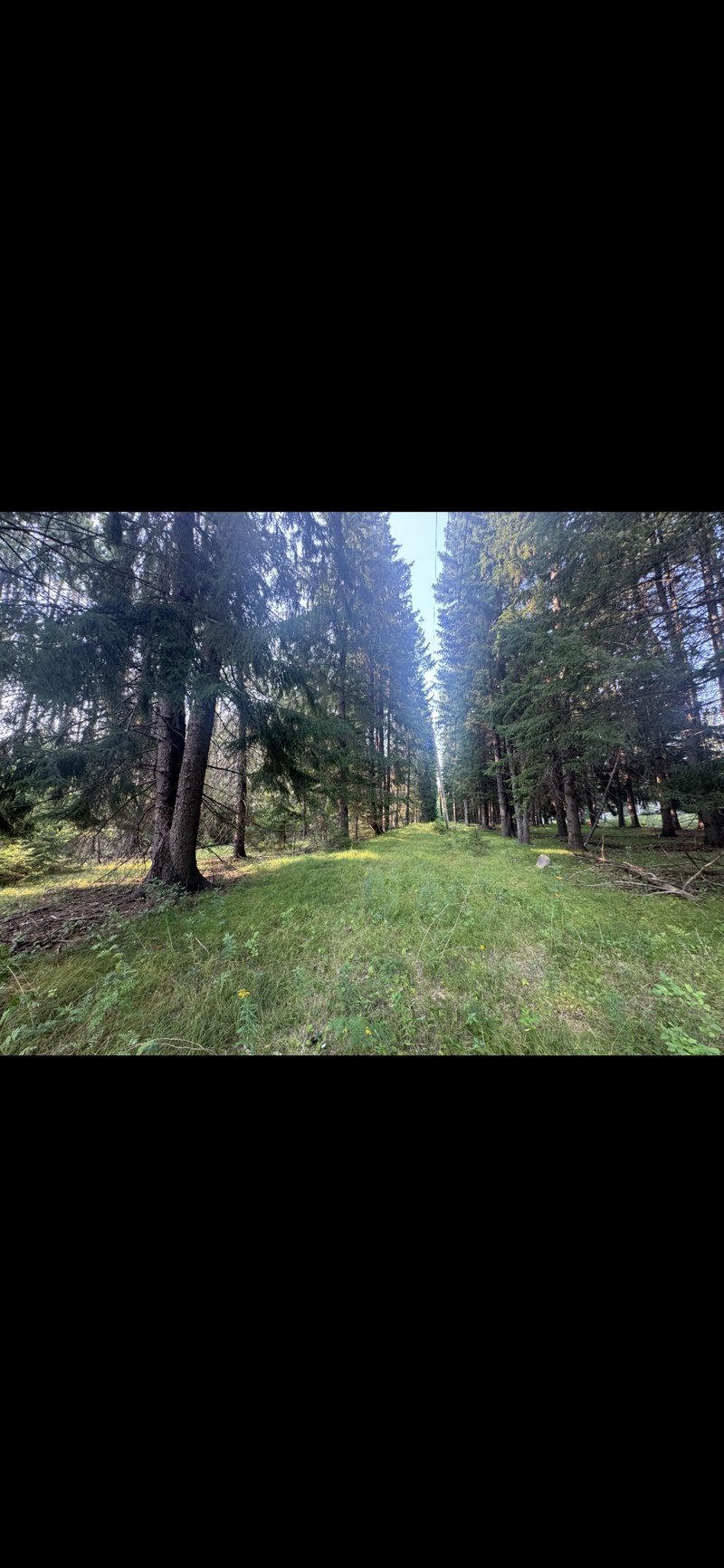 TBD Ridgwood, Grand Rapids, MN 55744