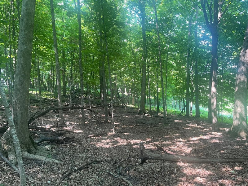 TBD 190th St, Centuria, WI 54824