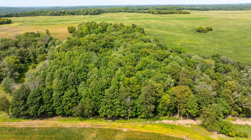 TBD 190th St, Centuria, WI 54824