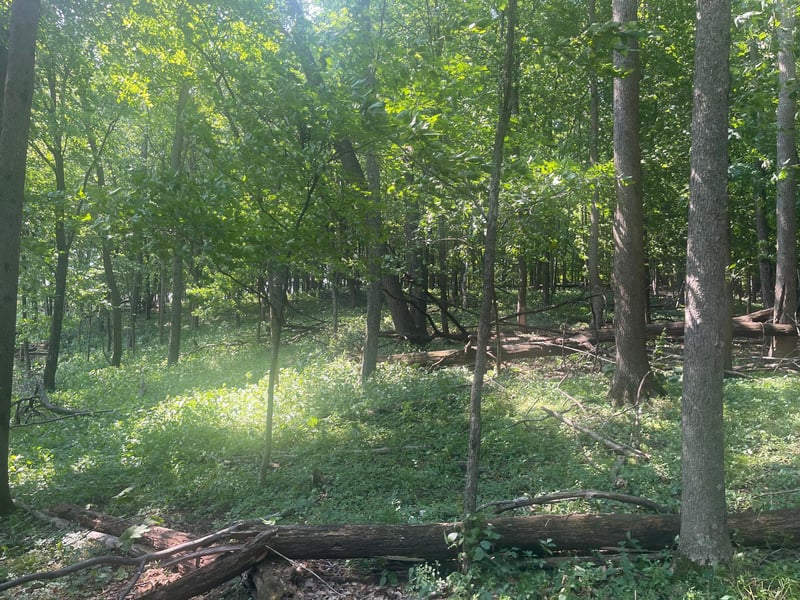 TBD 190th St, Centuria, WI 54824