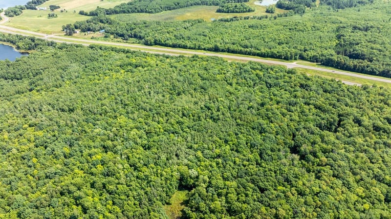 0 Hwy 53, Trego, WI 54888