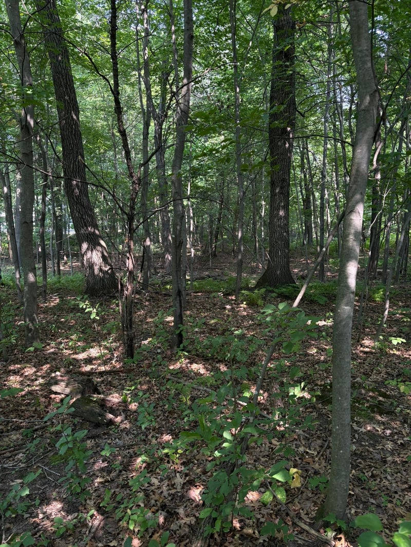 TBD 366th St, North Branch, MN 55056