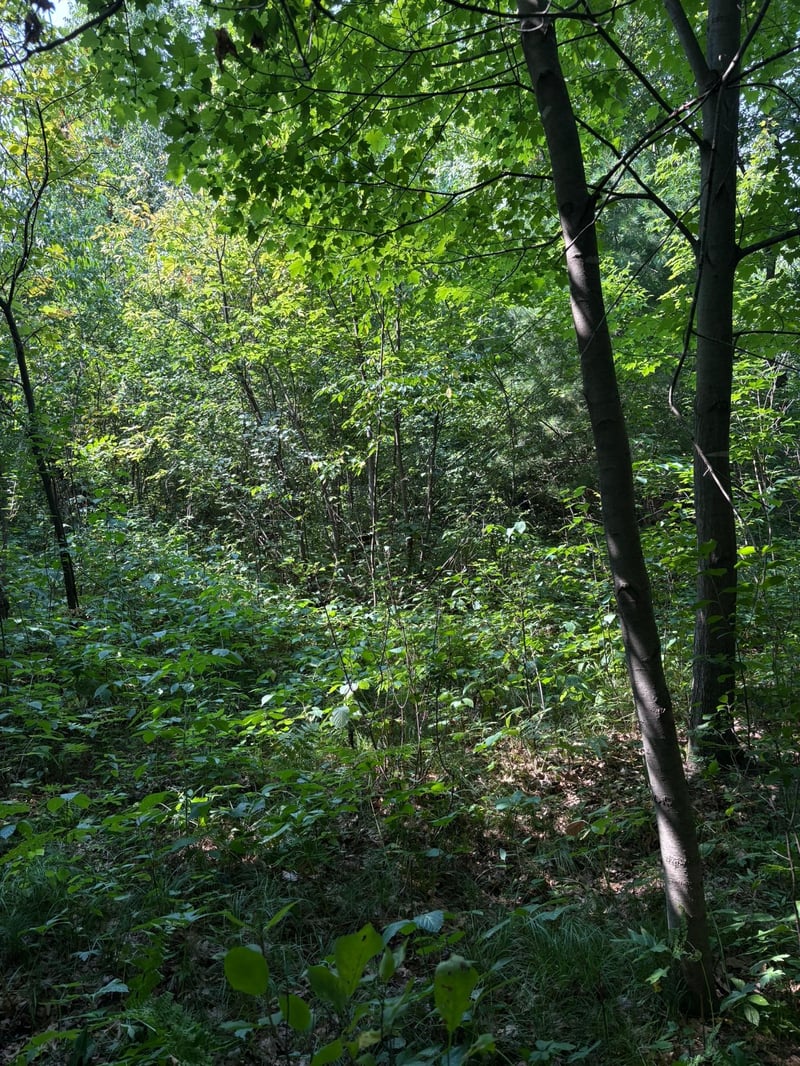 TBD 366th St, North Branch, MN 55056